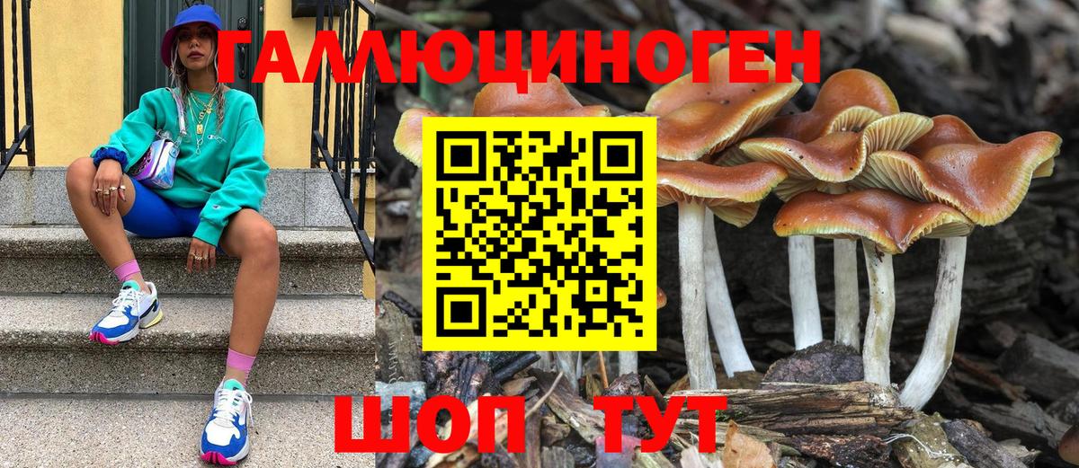 Псилоцибиновые грибы Psilocybine cubensis  Вход с VPN  Моршанск 